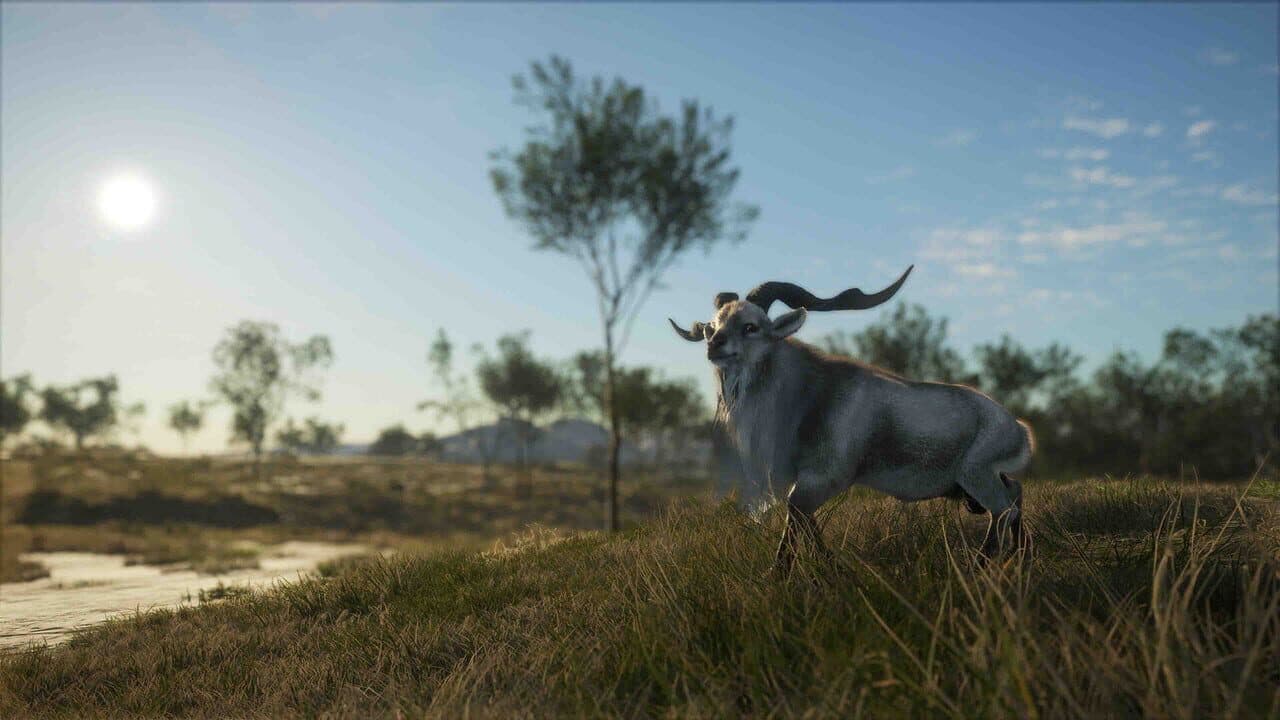 theHunter: Call of the Wild - Emerald Coast Australia thumbnail 14