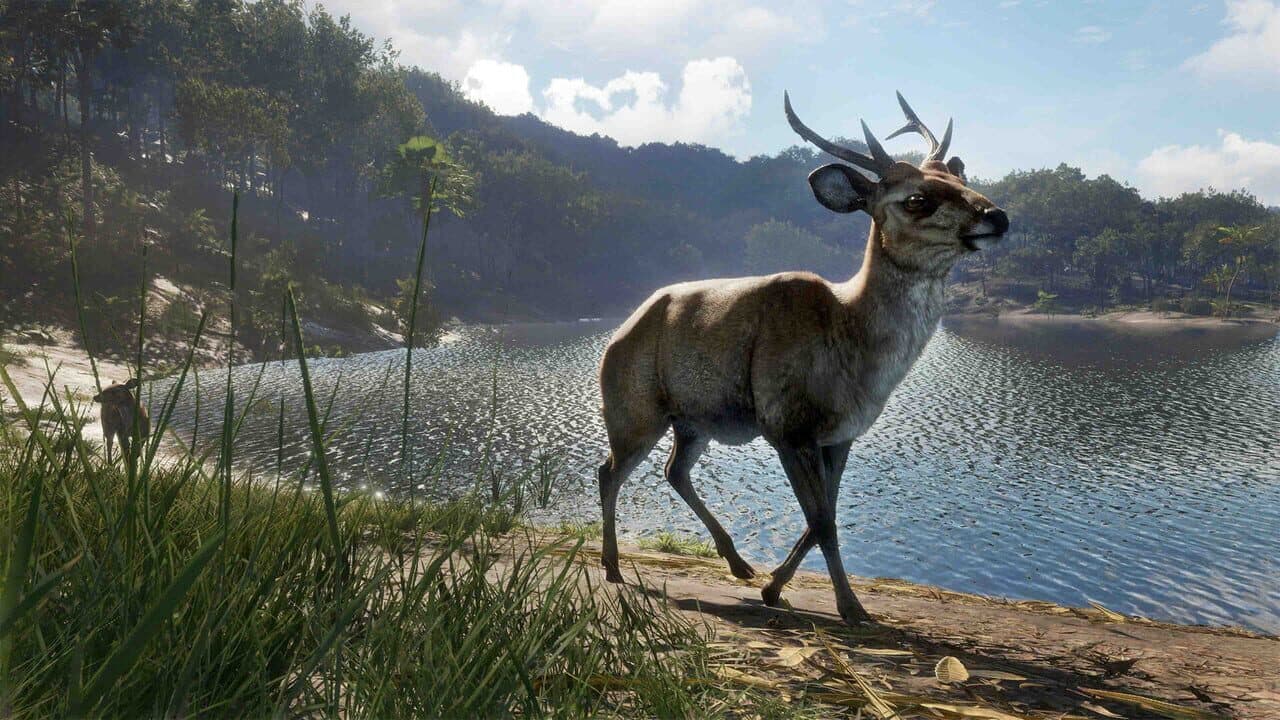 theHunter: Call of the Wild - Emerald Coast Australia thumbnail 12