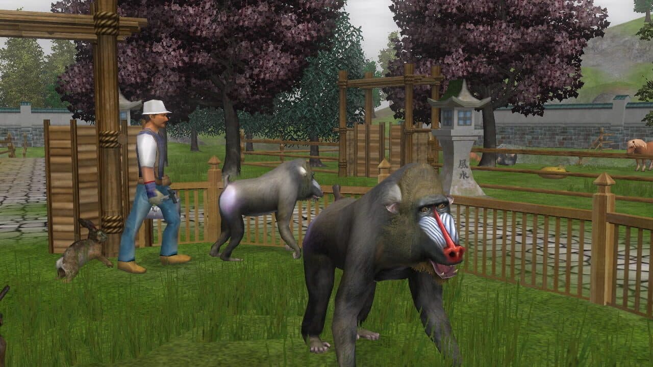 Wildlife Park 2: Crazy Zoo thumbnail 17