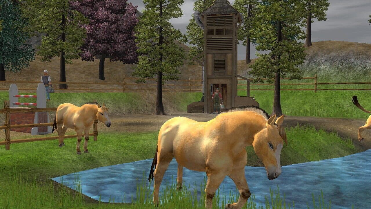 Wildlife Park 2: Horses thumbnail 9