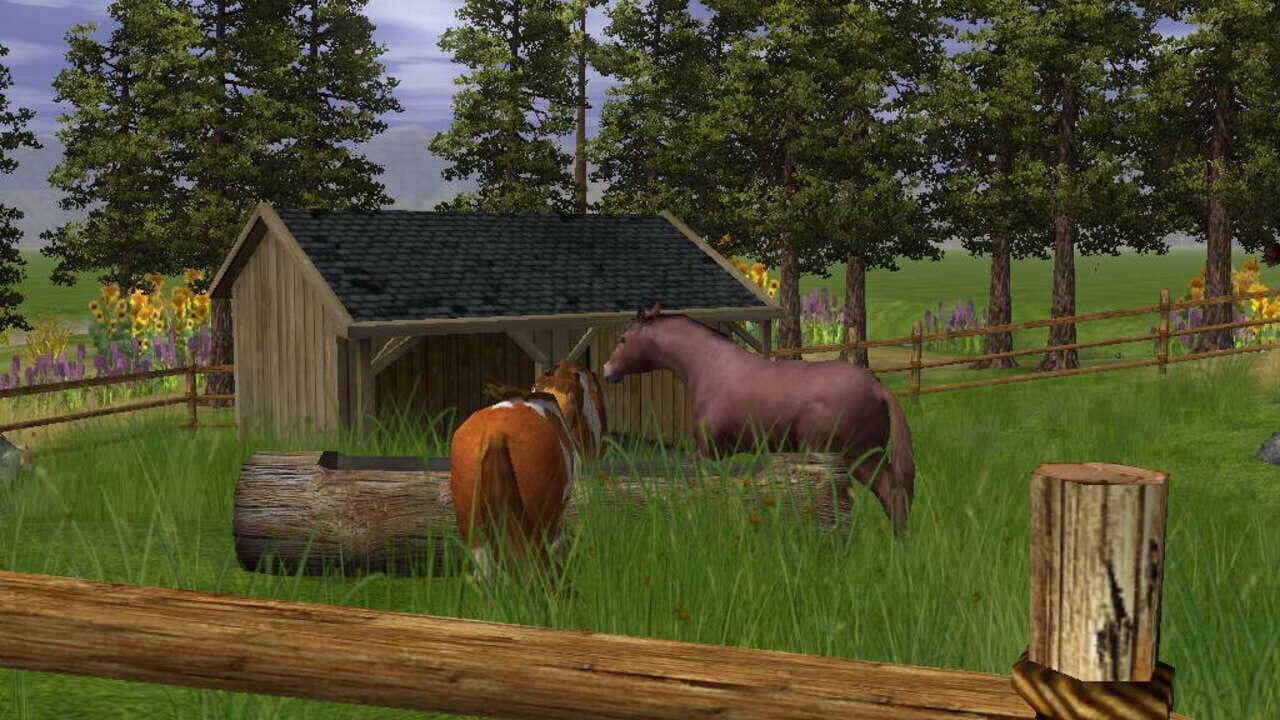 Wildlife Park 2: Horses thumbnail 2