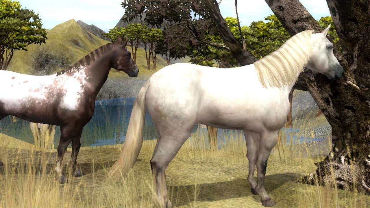 Wildlife Park 2: Horses thumbnail 17
