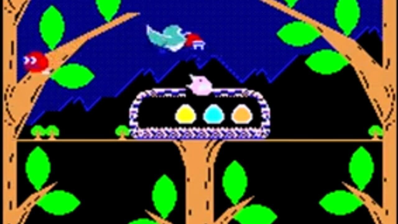 Birdiy thumbnail 2
