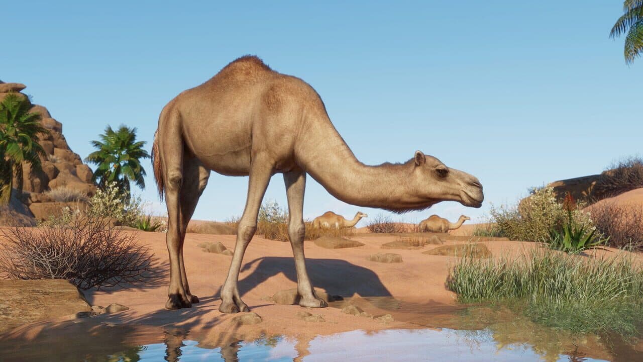 Planet Zoo: Arid Animal Pack thumbnail 3