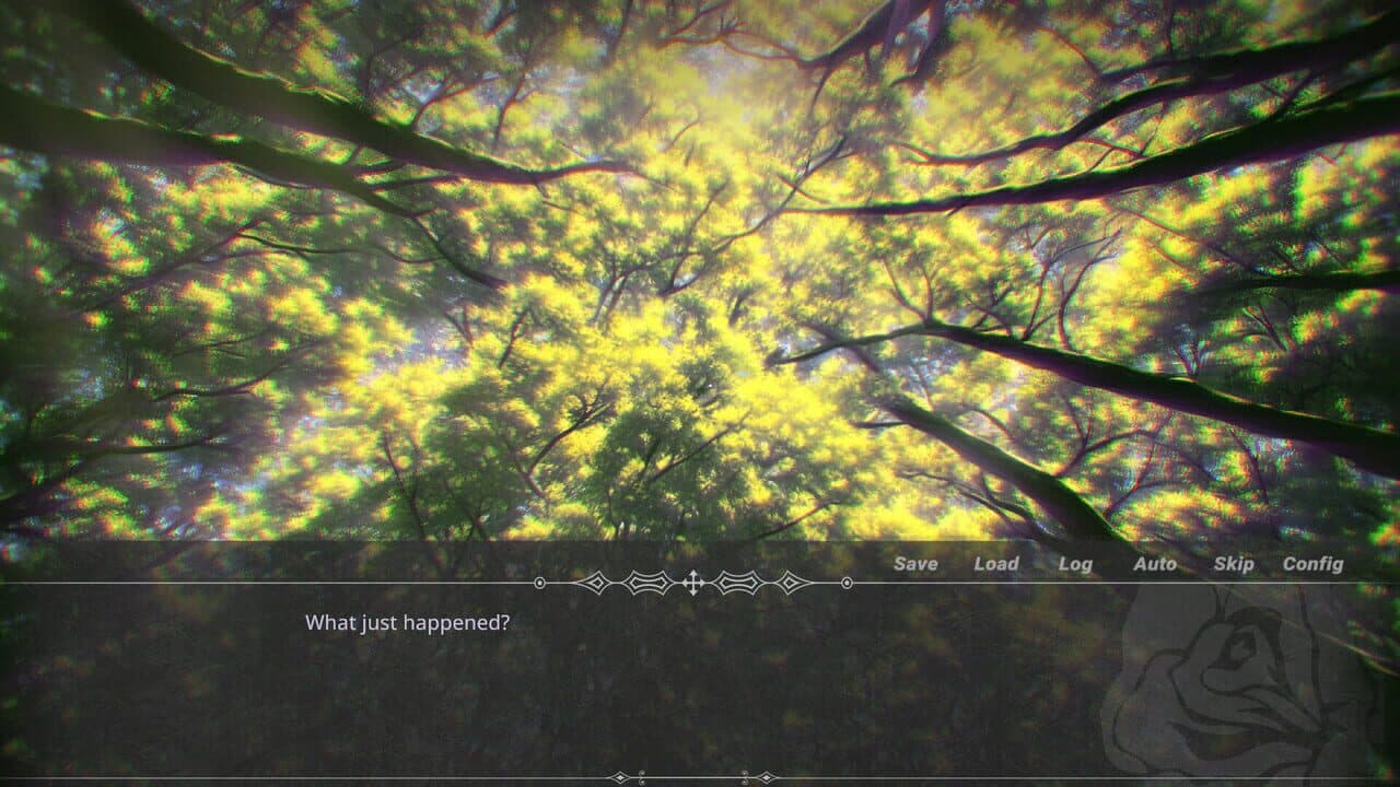 The Witch In The Woods thumbnail 11