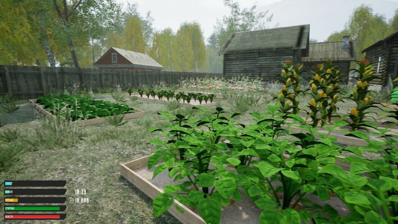 Russian Village Simulator thumbnail 6