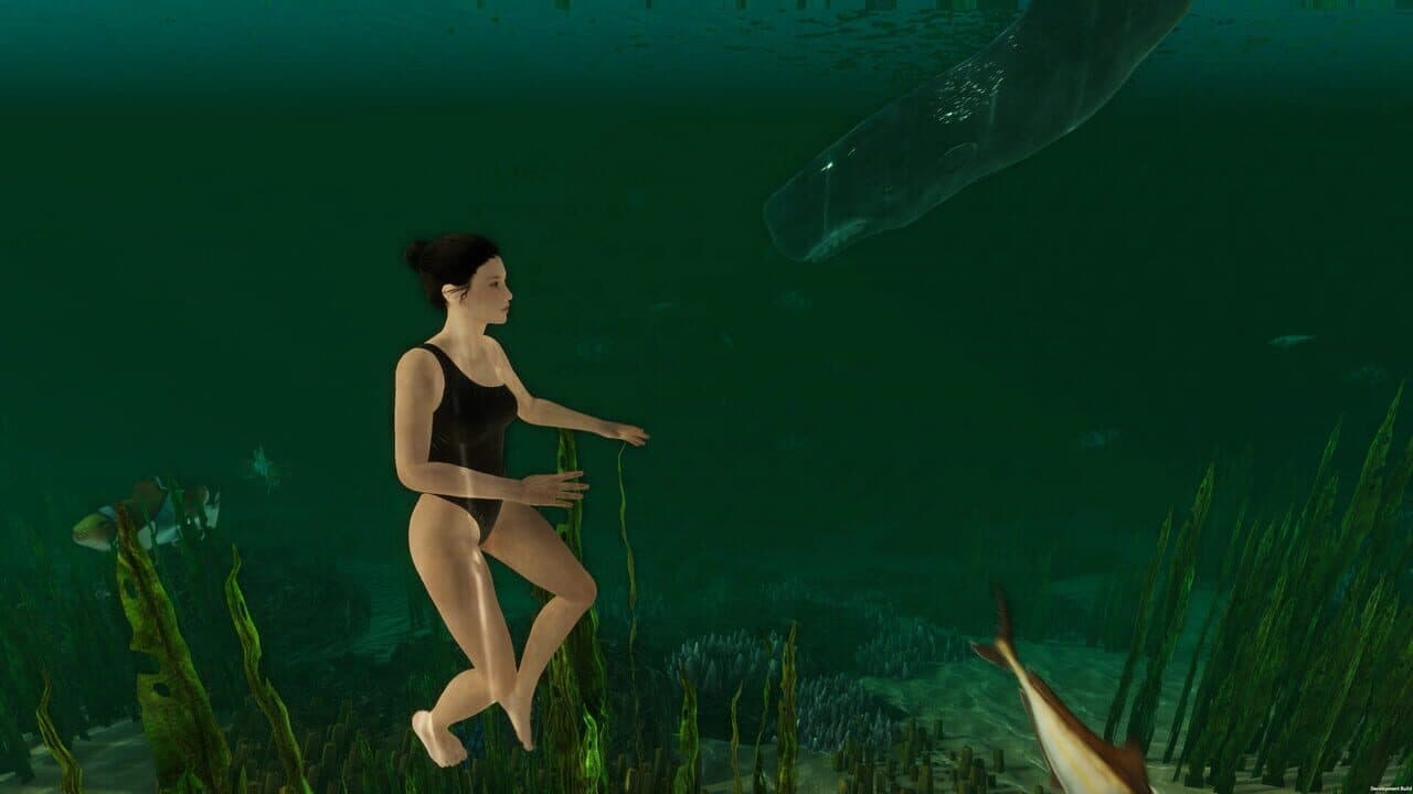 Island Notes thumbnail 2