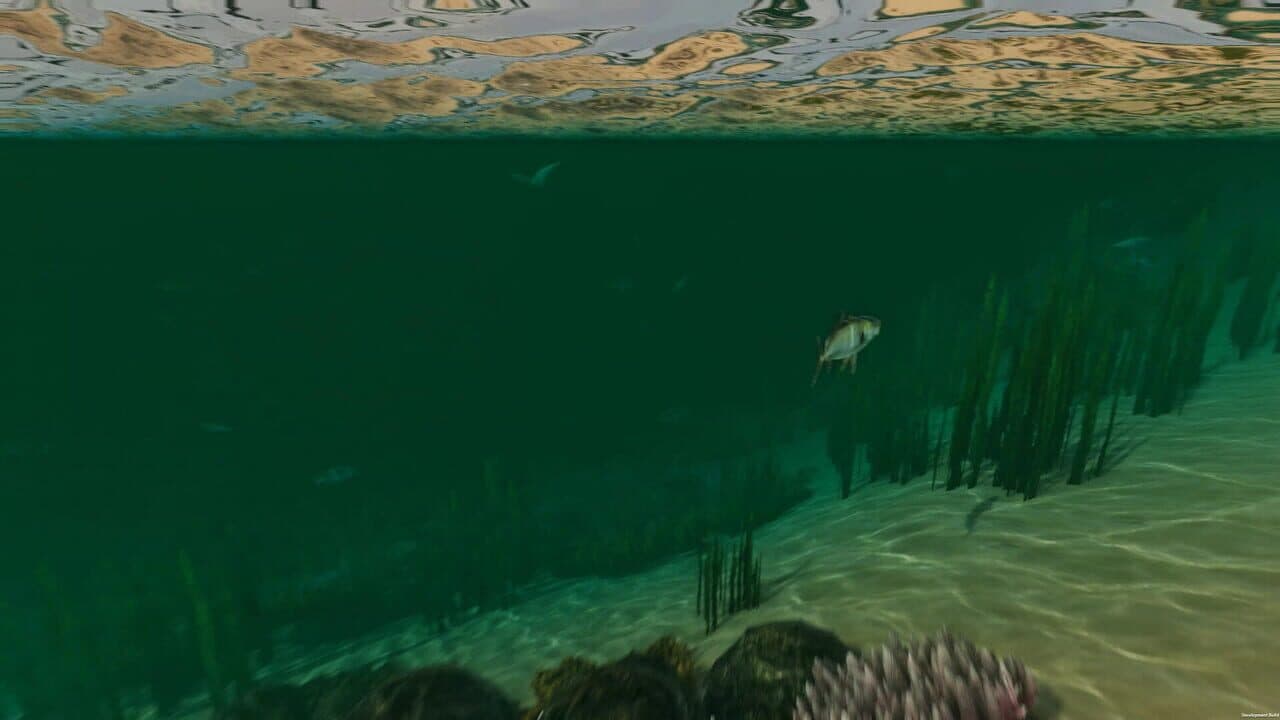 Island Notes thumbnail 10