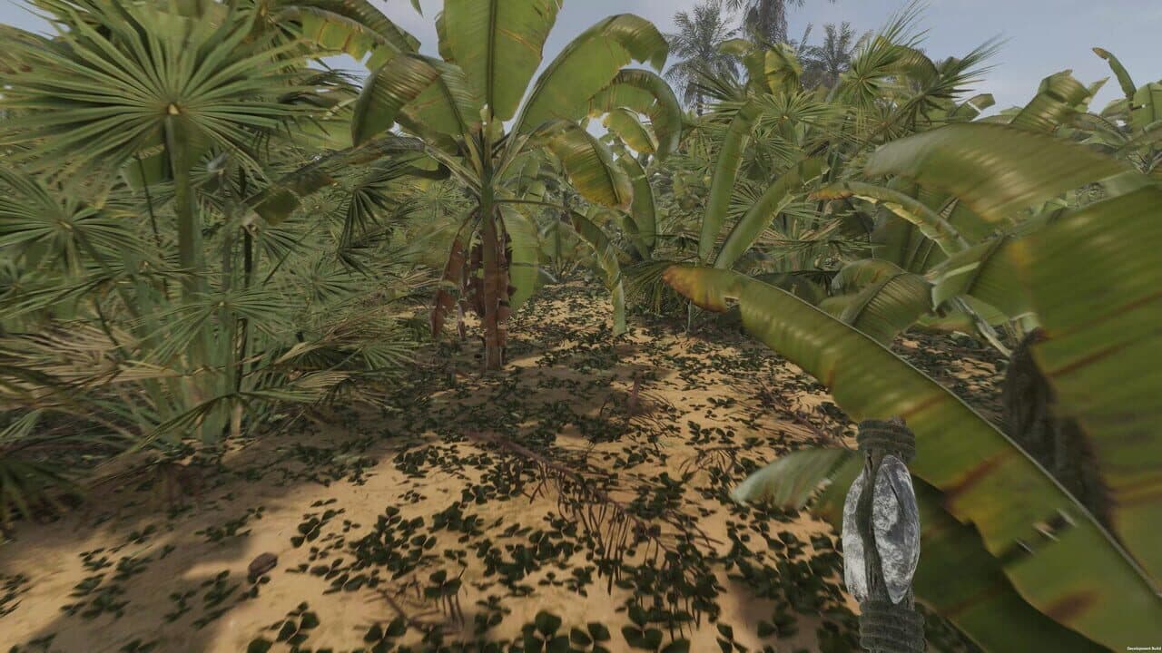 Island Notes thumbnail 5