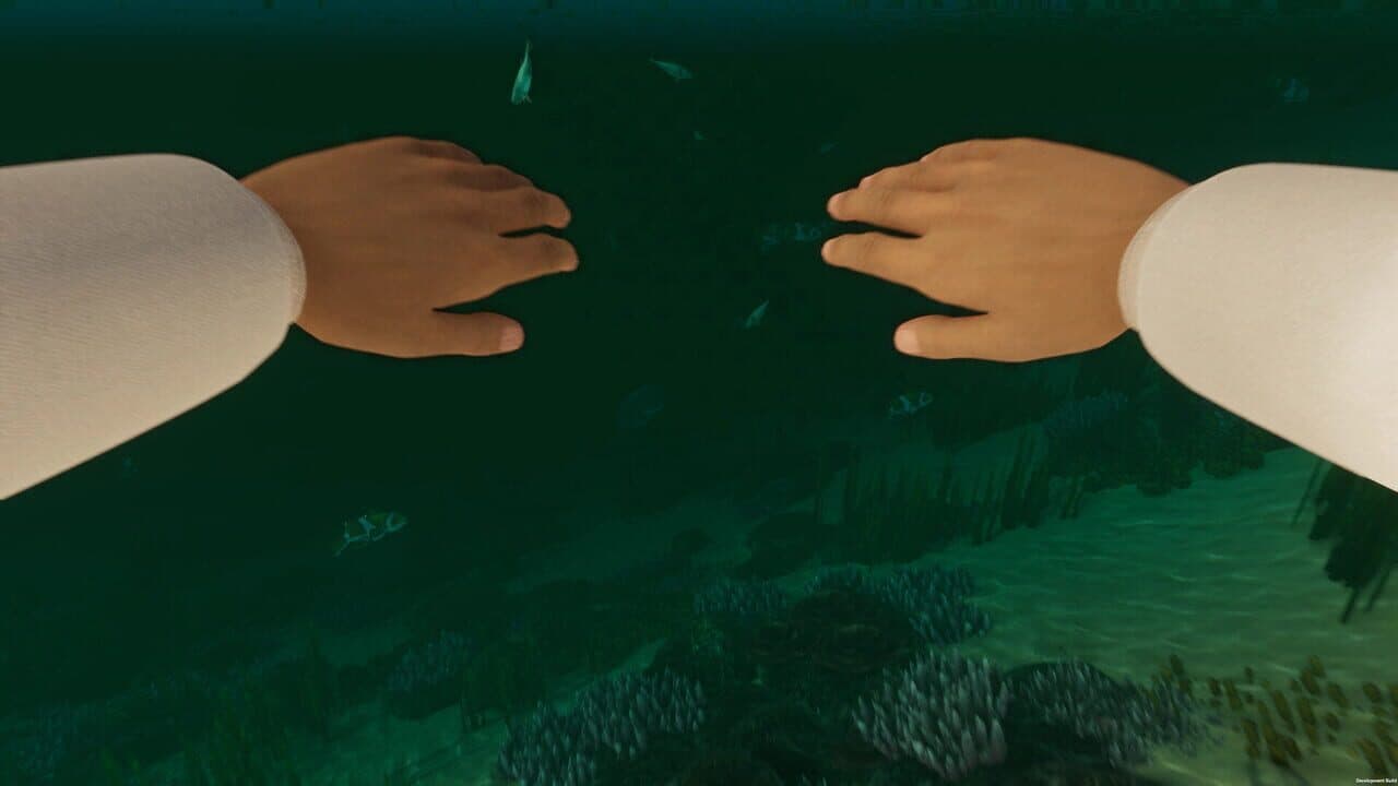 Island Notes thumbnail 6