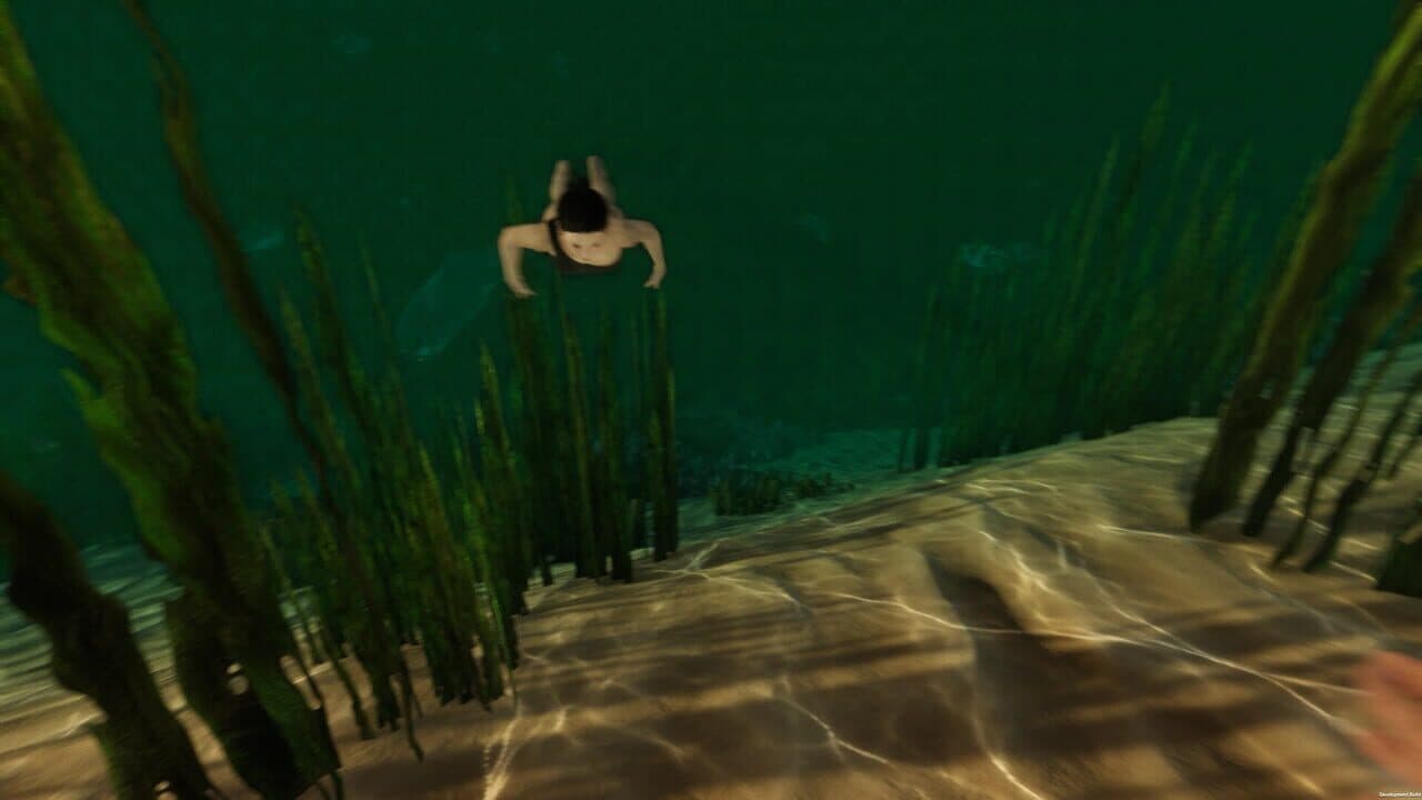 Island Notes thumbnail 7