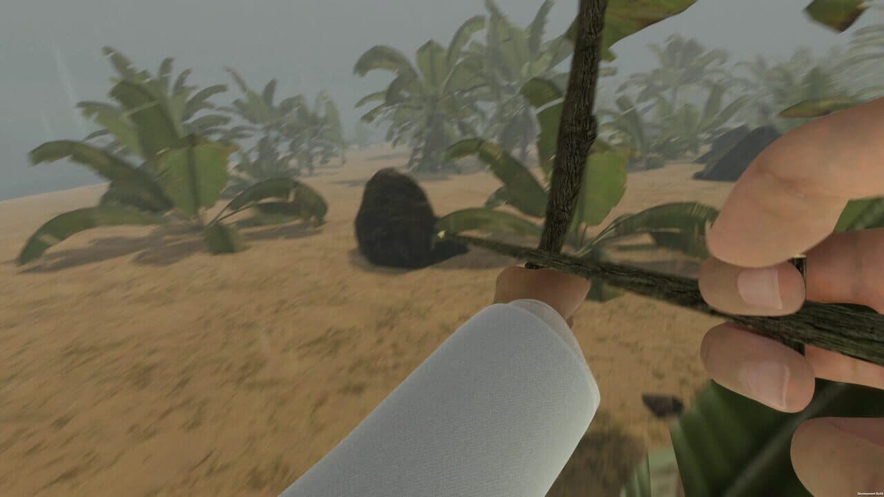 Island Notes thumbnail 8