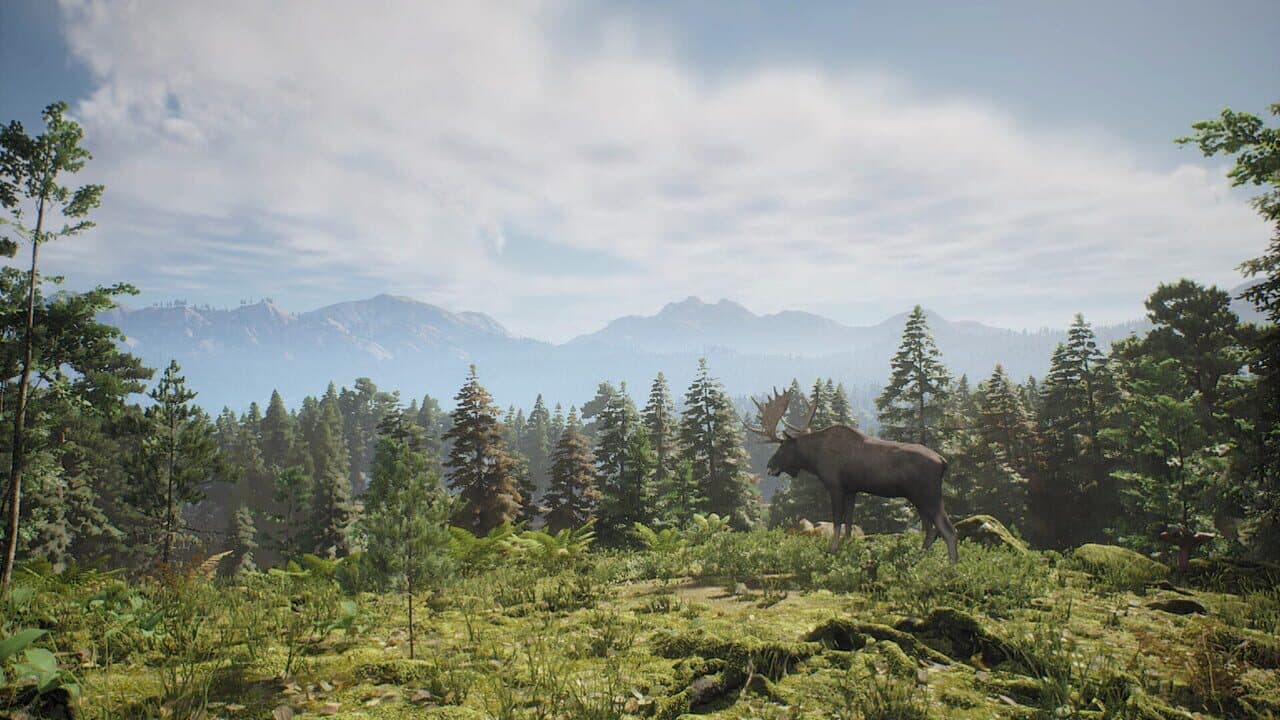 Project Hunt thumbnail 2