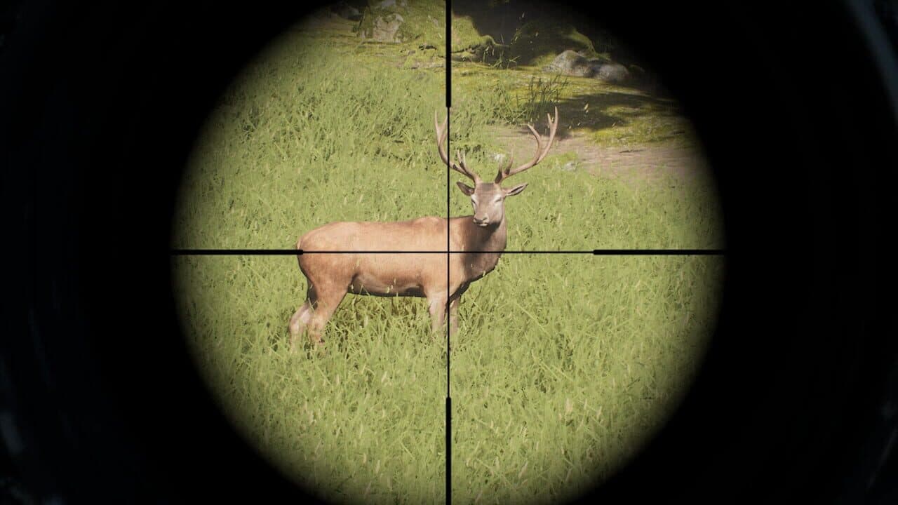 Project Hunt thumbnail 3