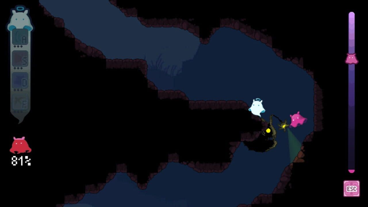 Adorabilis thumbnail 4