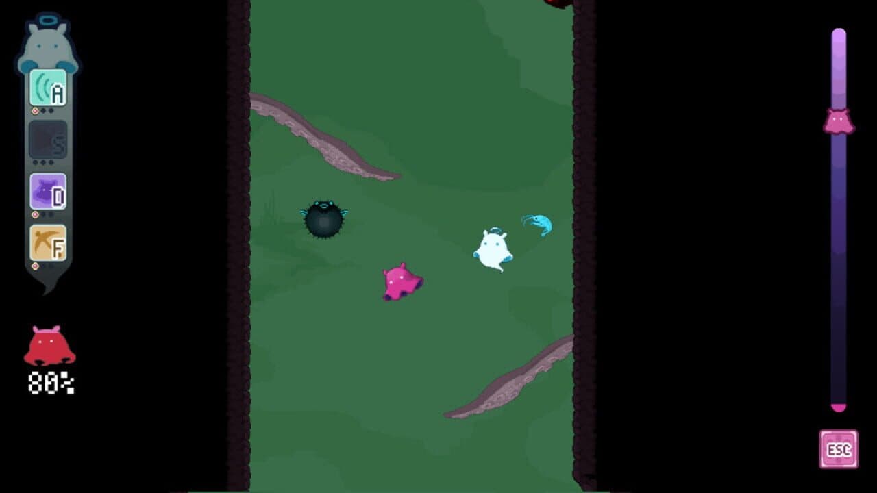 Adorabilis thumbnail 2