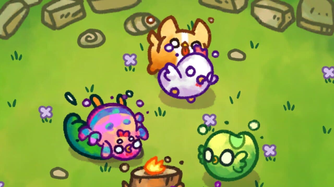 Chichens thumbnail 4