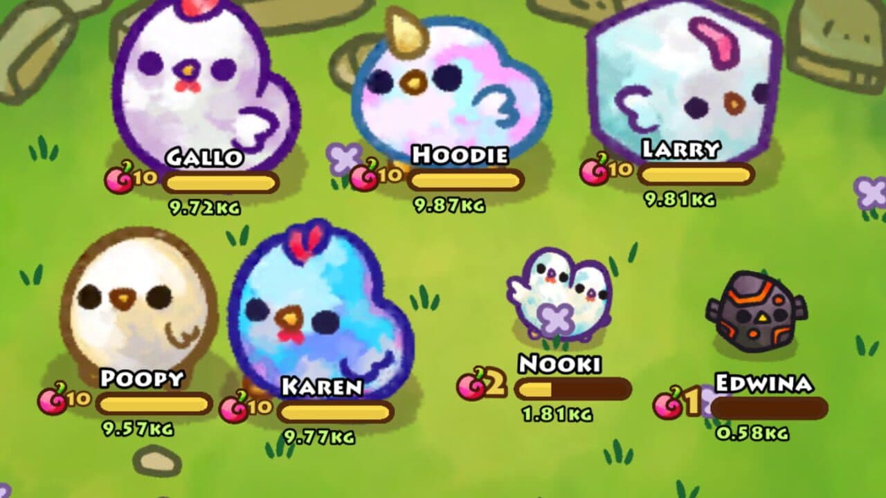Chichens thumbnail 5