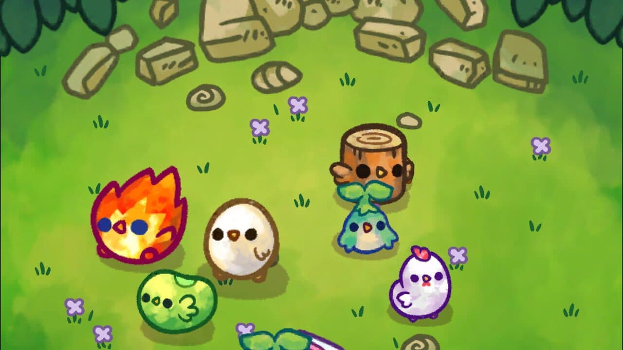 Chichens thumbnail 10