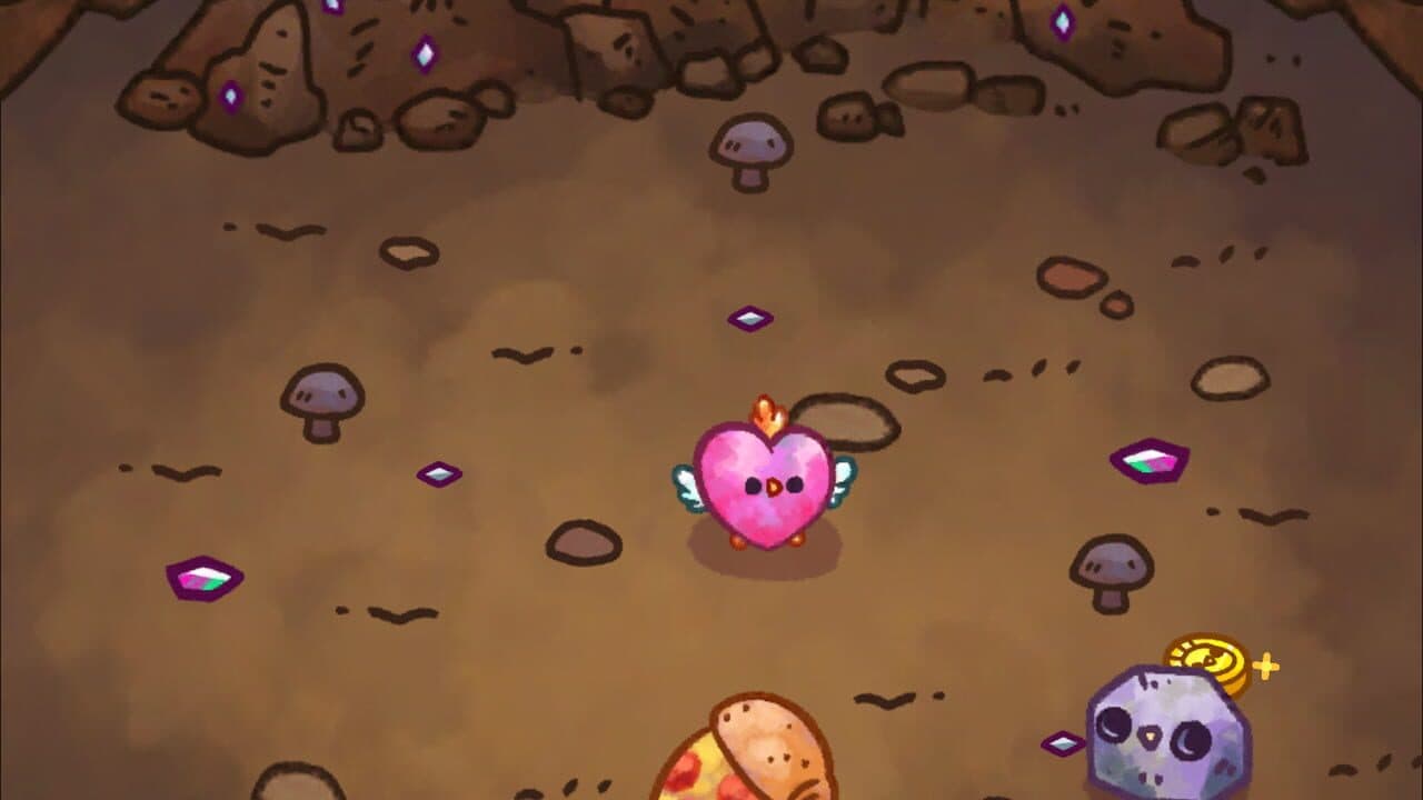 Chichens thumbnail 11