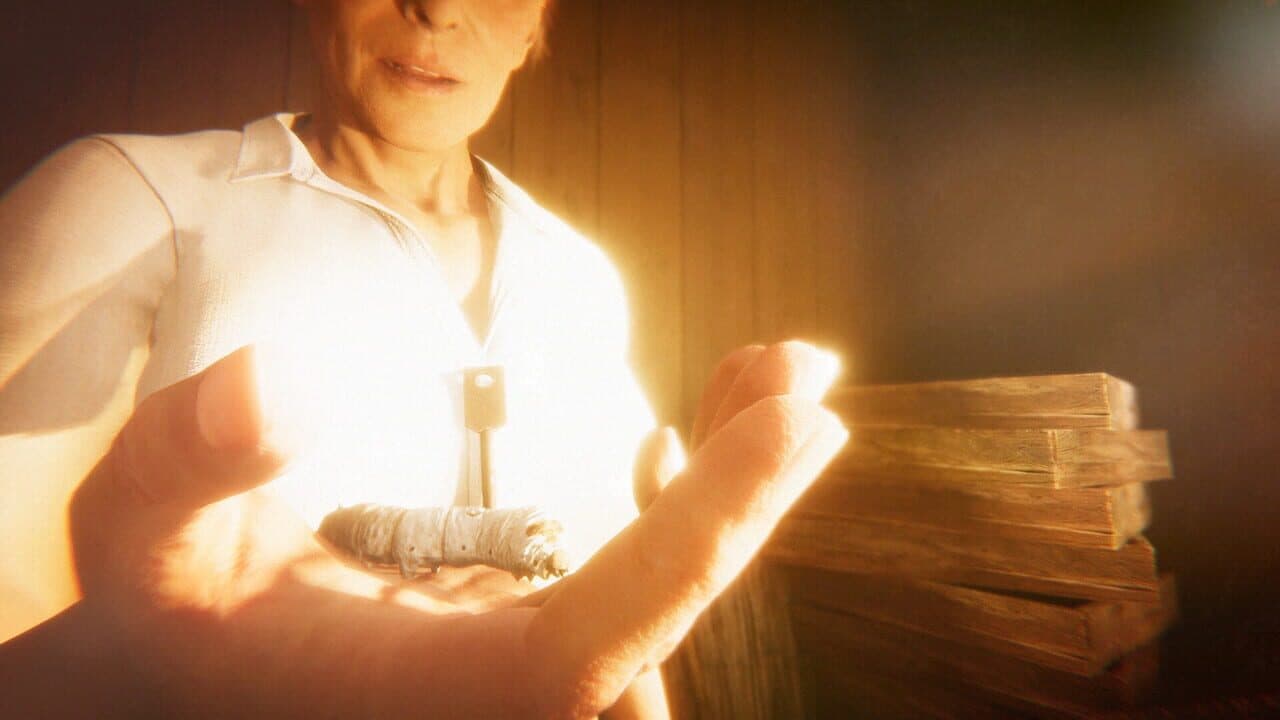 Hollow Cocoon thumbnail 2