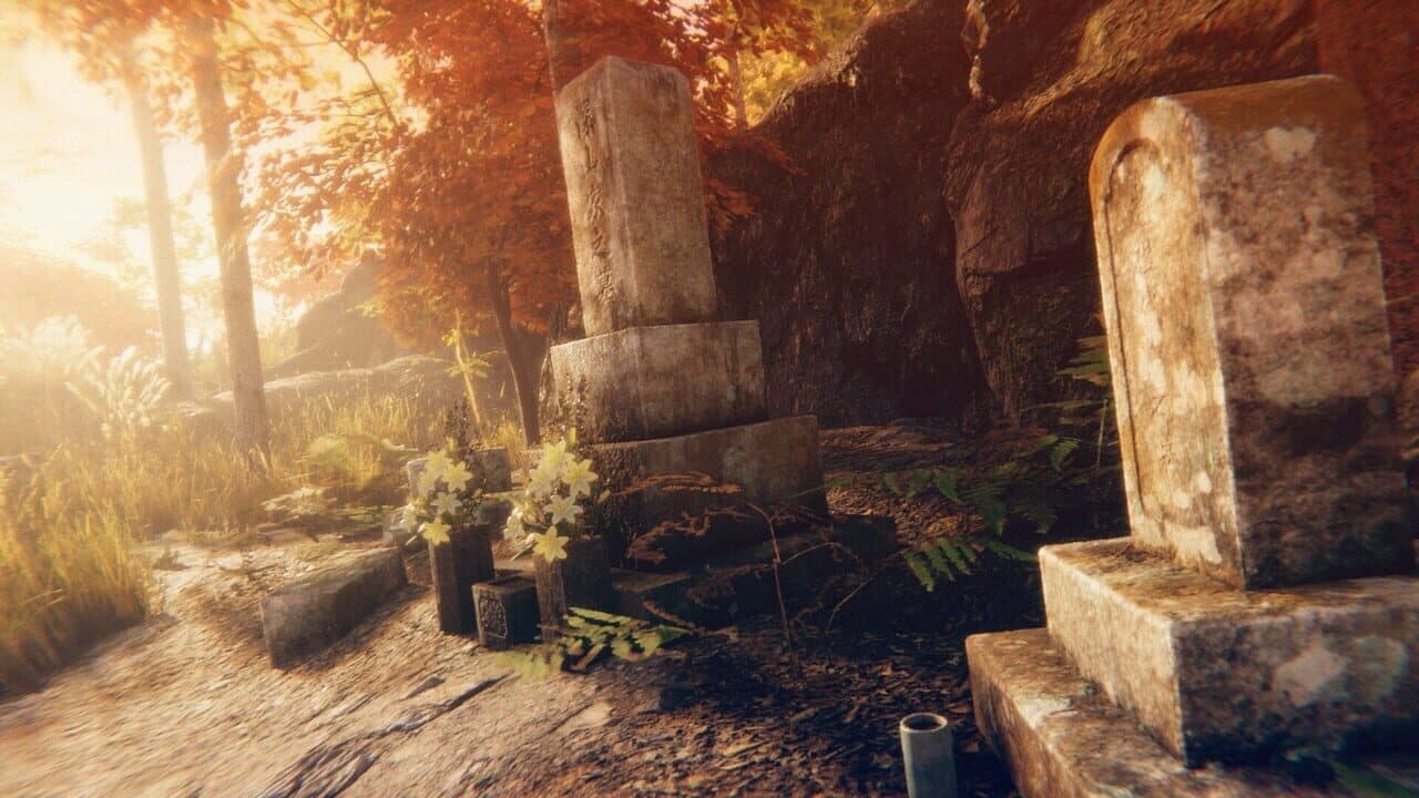 Hollow Cocoon thumbnail 11