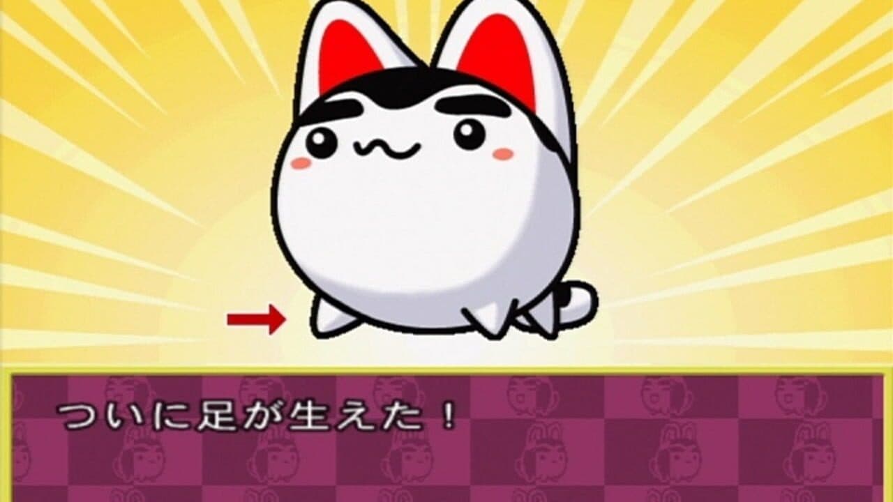 Quiz & Variety SukuSuku Inufuku screenshot 1
