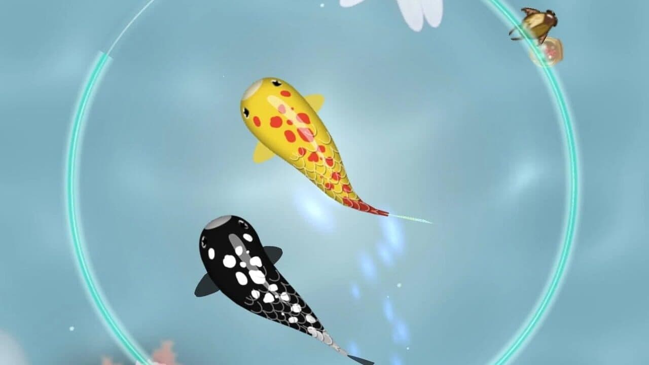 Zen Koi thumbnail 2