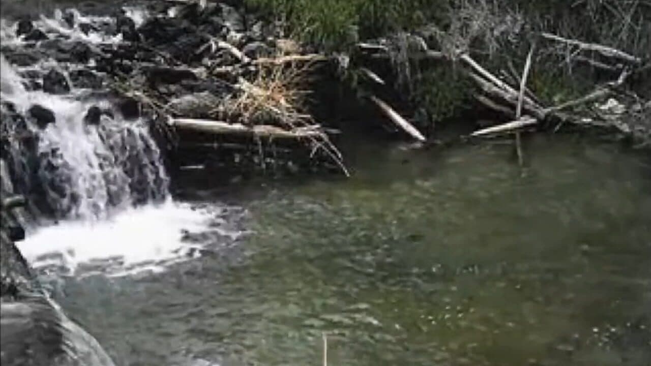 Reel Fishing thumbnail 2