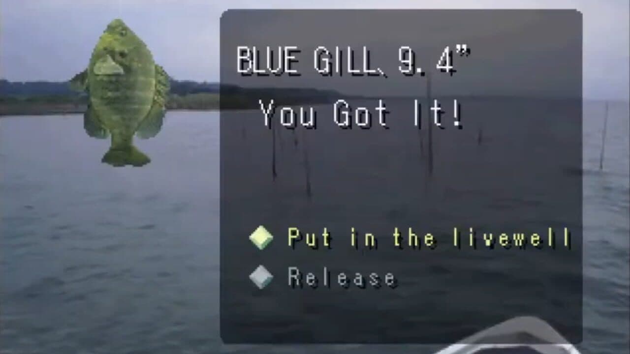 Reel Fishing thumbnail 3
