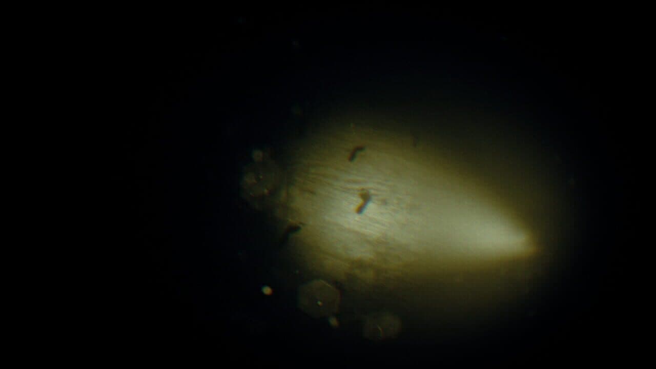 Rec: Beyond The Lens thumbnail 8