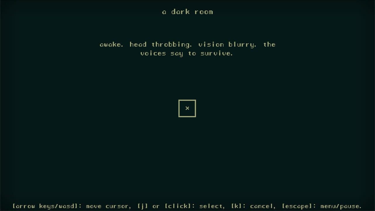 A Dark Room screenshot 1