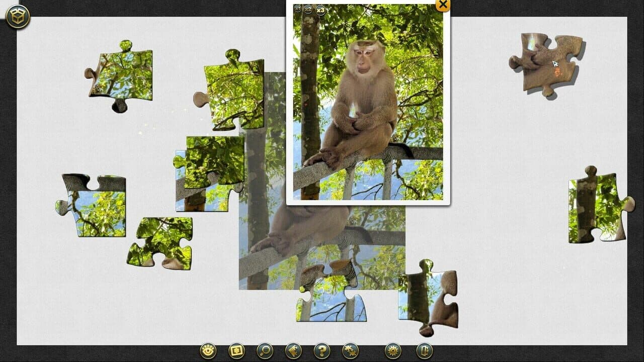 1001 Jigsaw. World Tour Thailand thumbnail 4