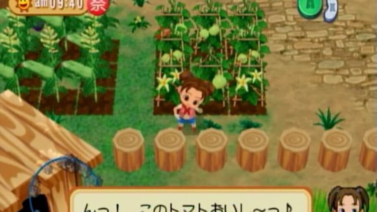 Bokujou Monogatari: Shiawase no Uta screenshot 1