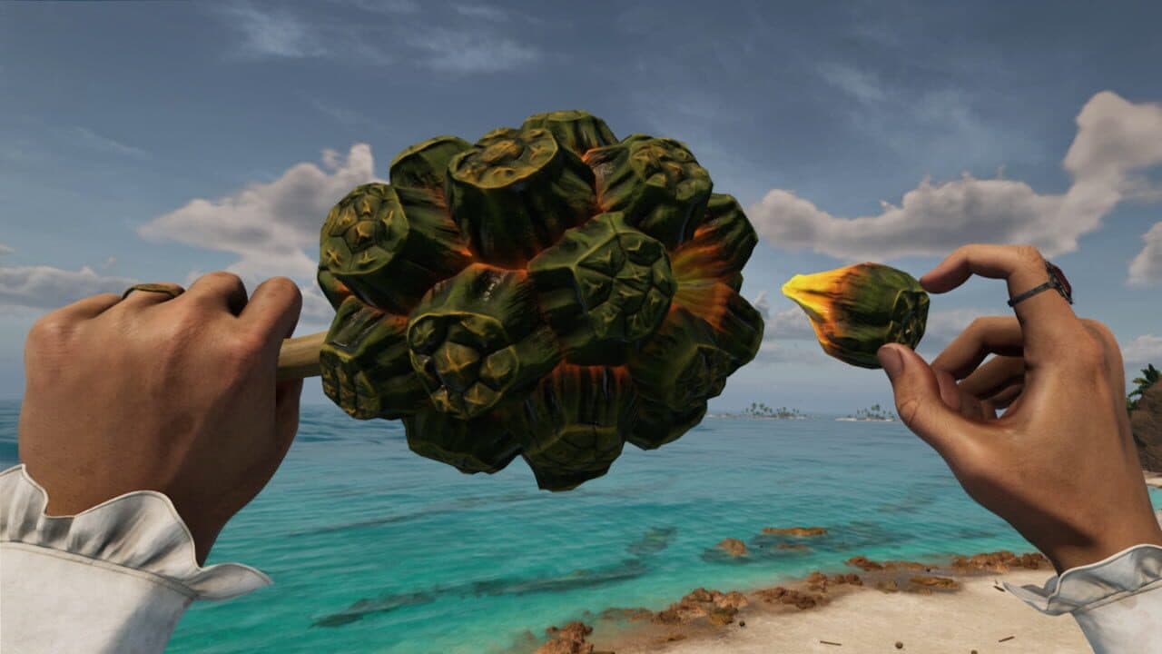 Bootstrap Island thumbnail 6