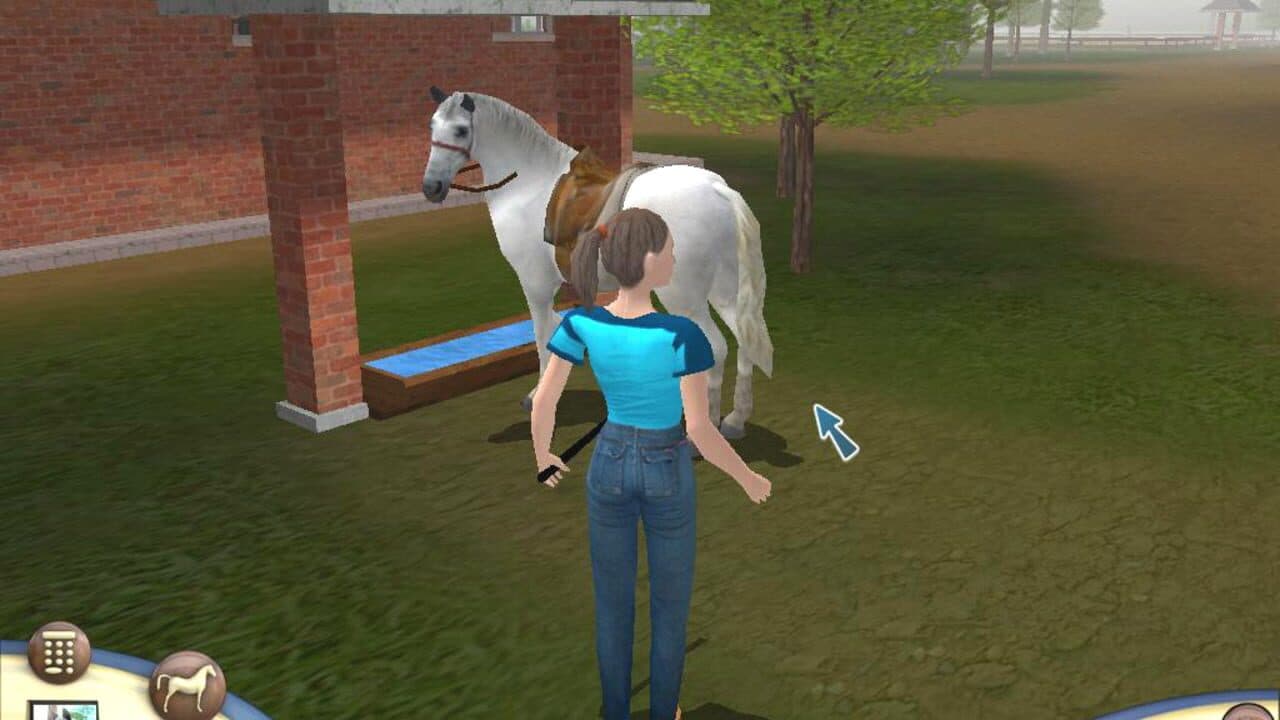 Championship Horse Trainer thumbnail 8