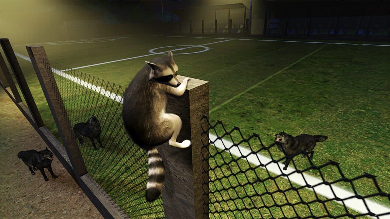 Raccoon Adventure thumbnail 5