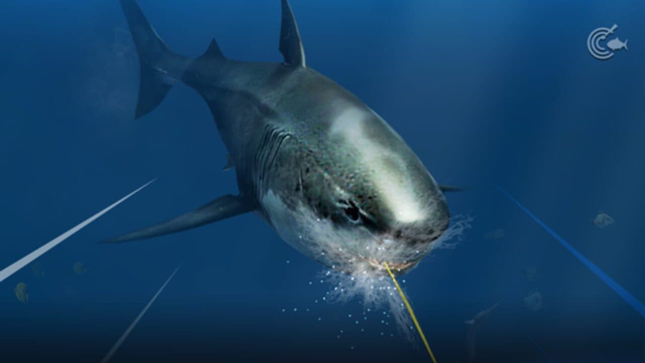 Ace Fishing: Crew thumbnail 3