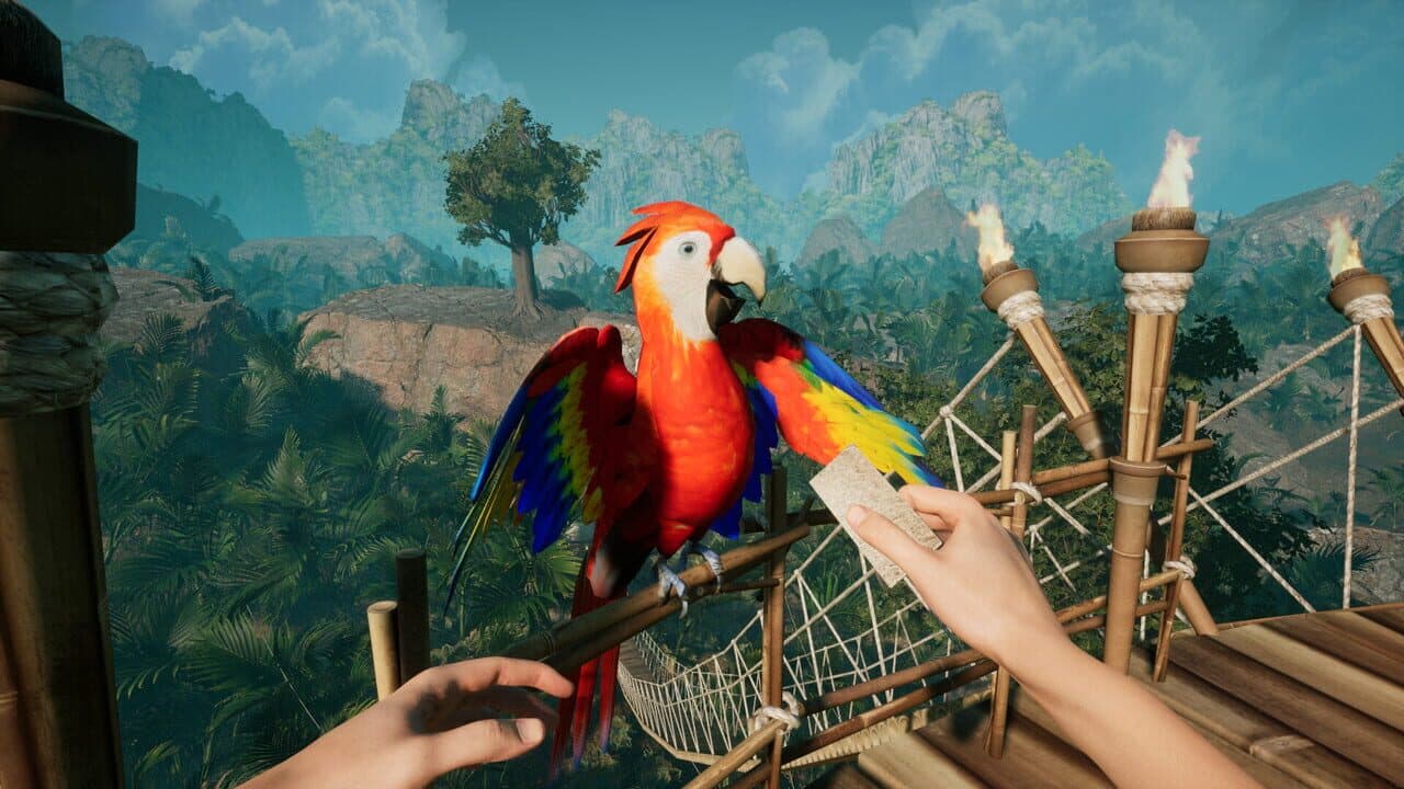 Canopy thumbnail 3