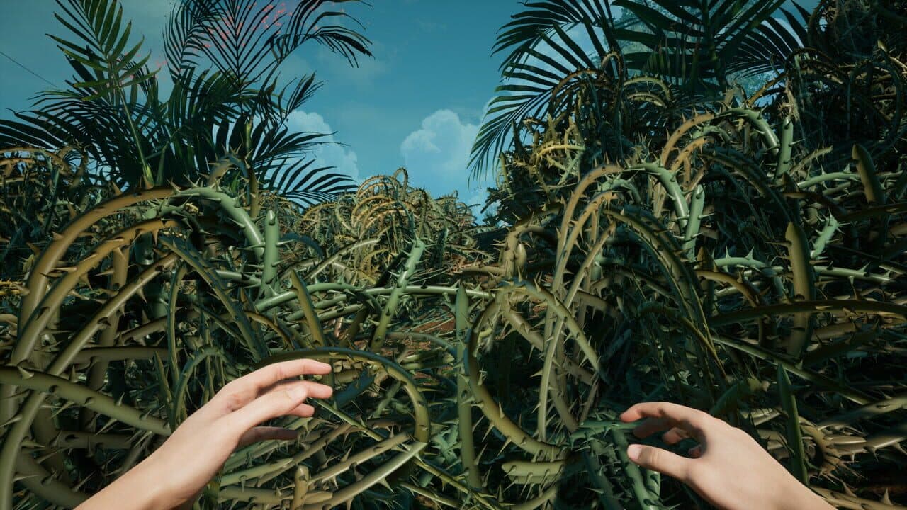 Canopy thumbnail 5