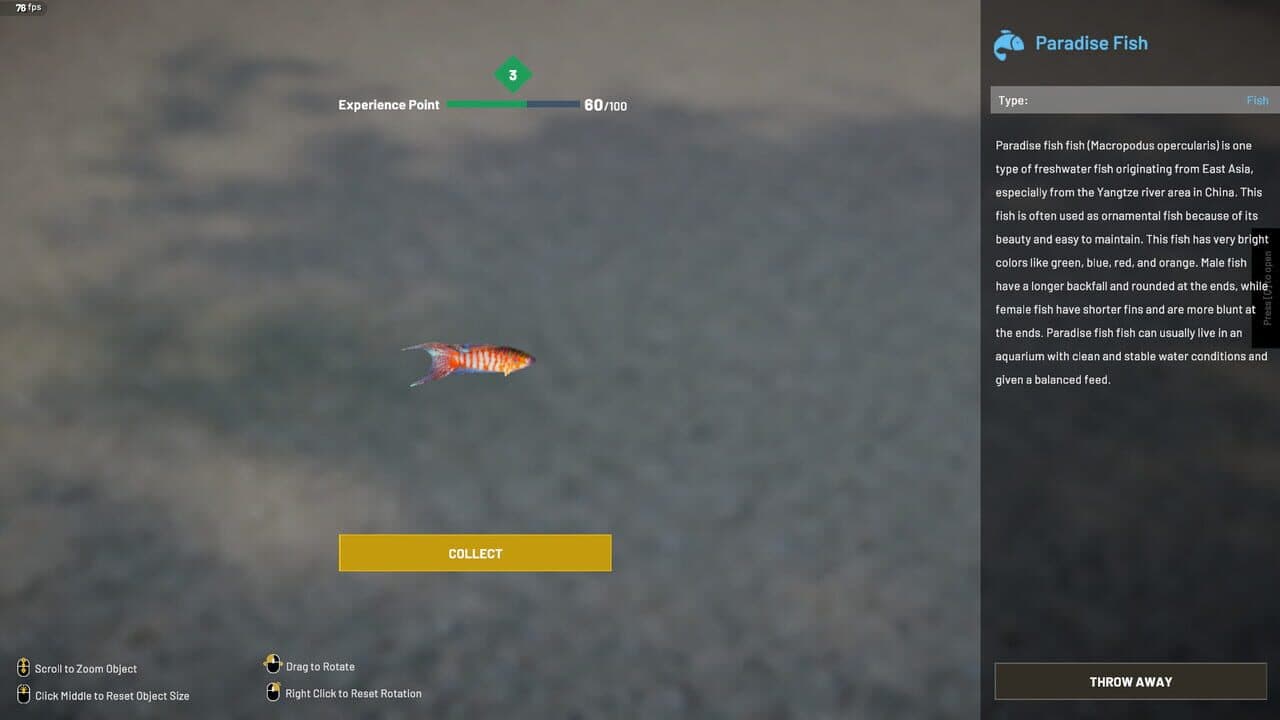 Aquascapers thumbnail 8