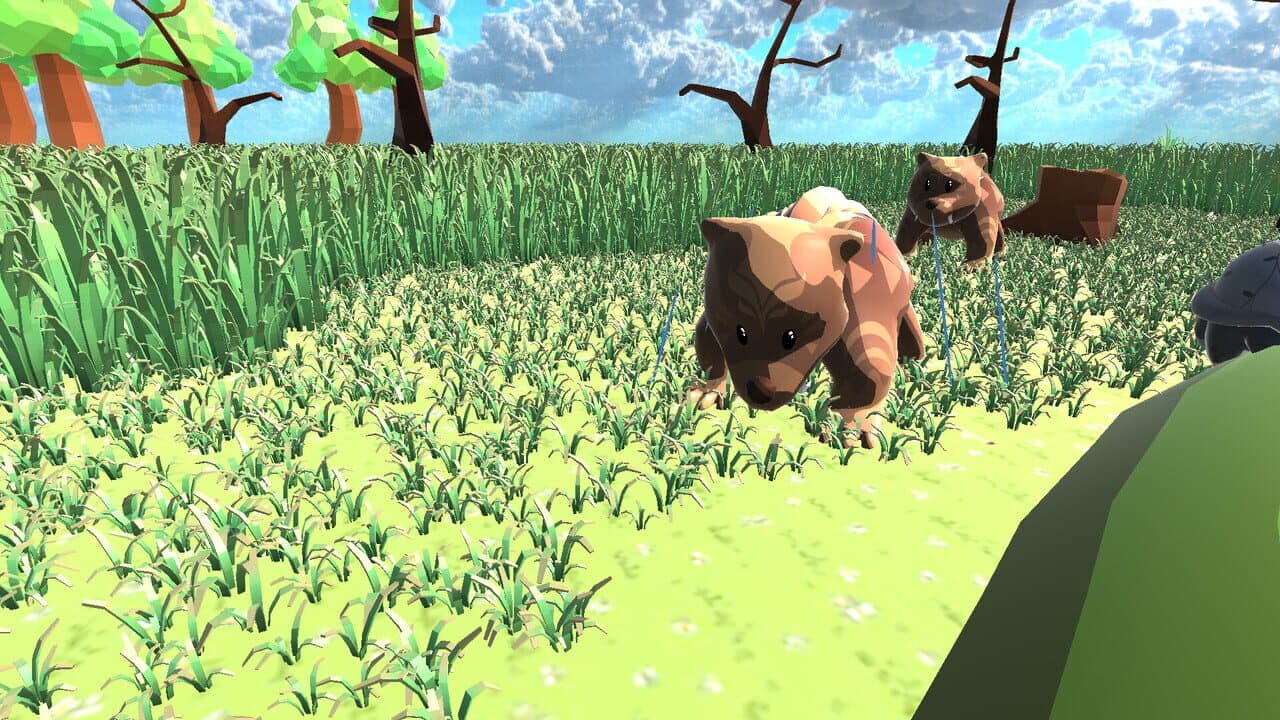 Skystead Ranch thumbnail 3