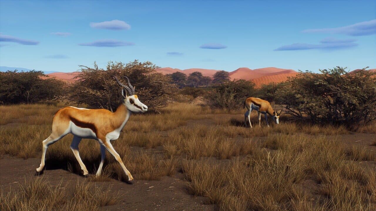 Way of the Hunter: Tikamoon Plains thumbnail 5