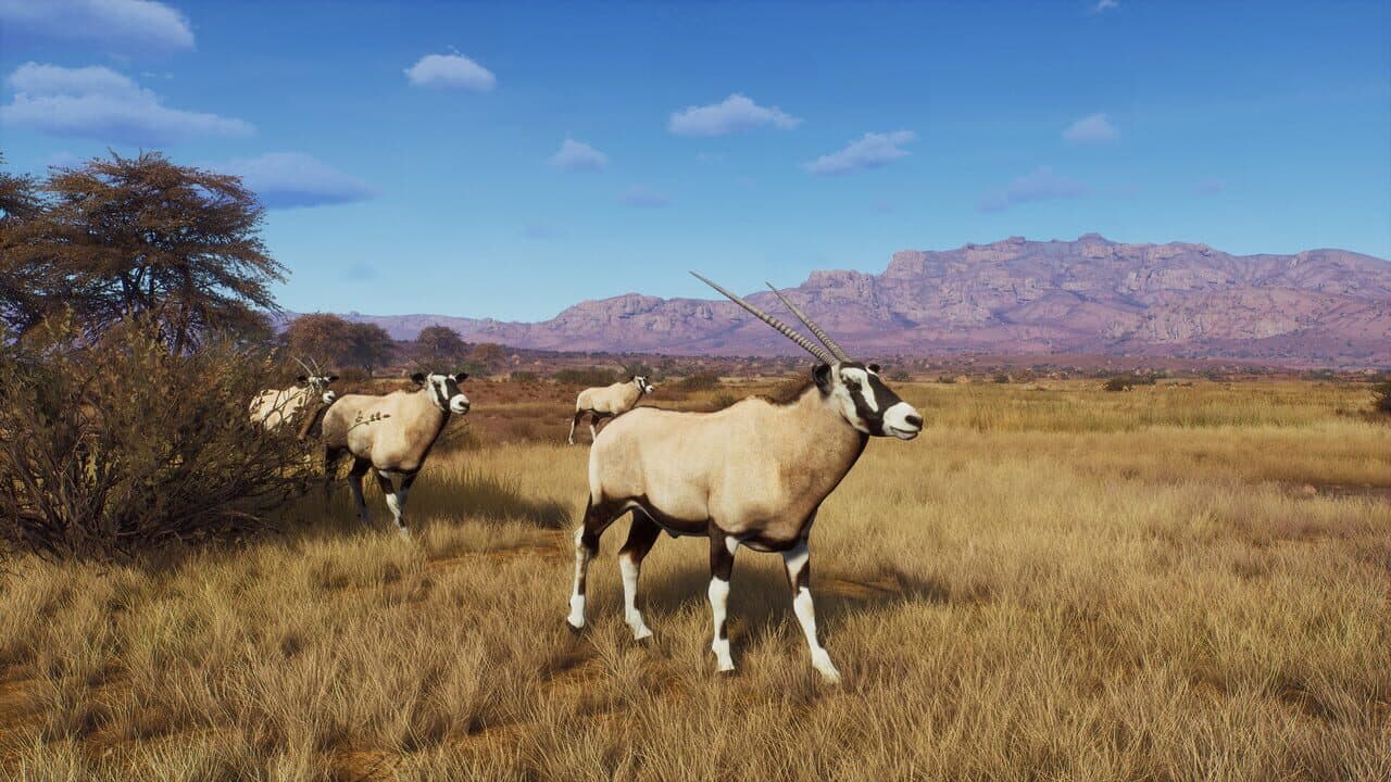 Way of the Hunter: Tikamoon Plains thumbnail 3
