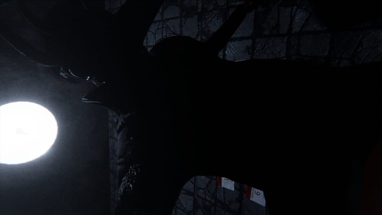 Sorrow Asylum thumbnail 11