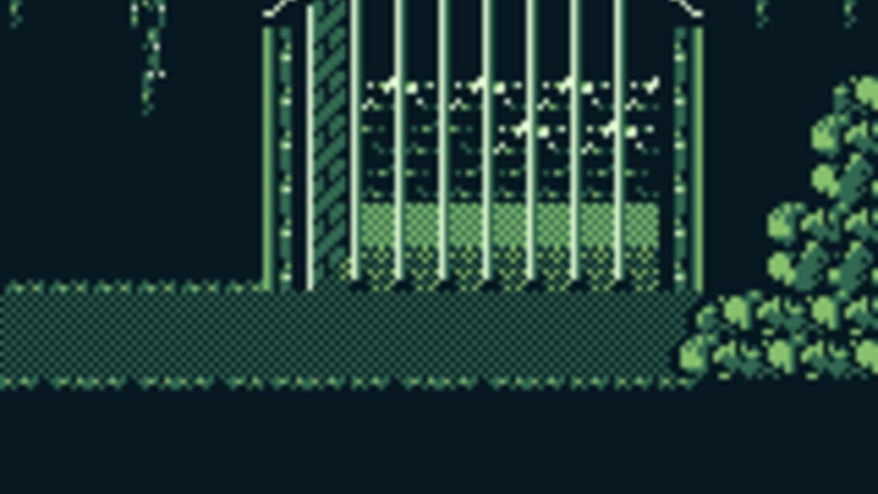 The Shapeshifter thumbnail 3