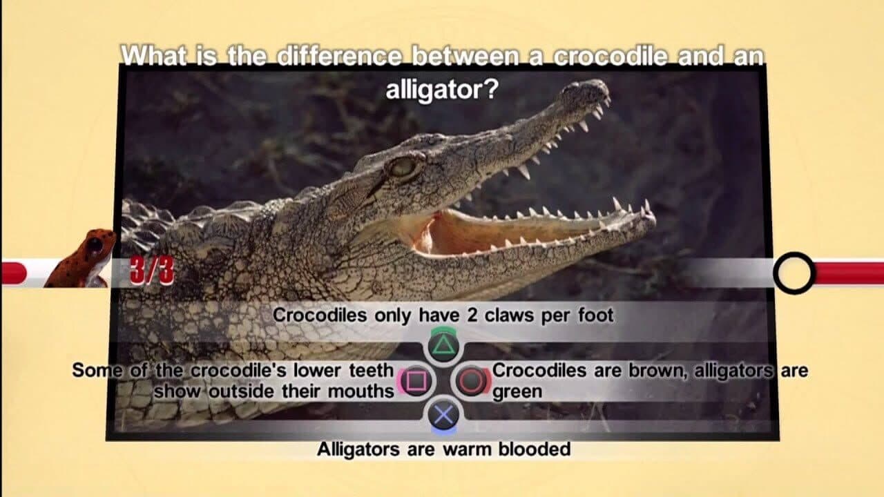 Nat Geo Challenge! Wild Life thumbnail 4