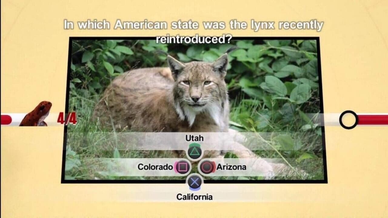 Nat Geo Challenge! Wild Life thumbnail 5