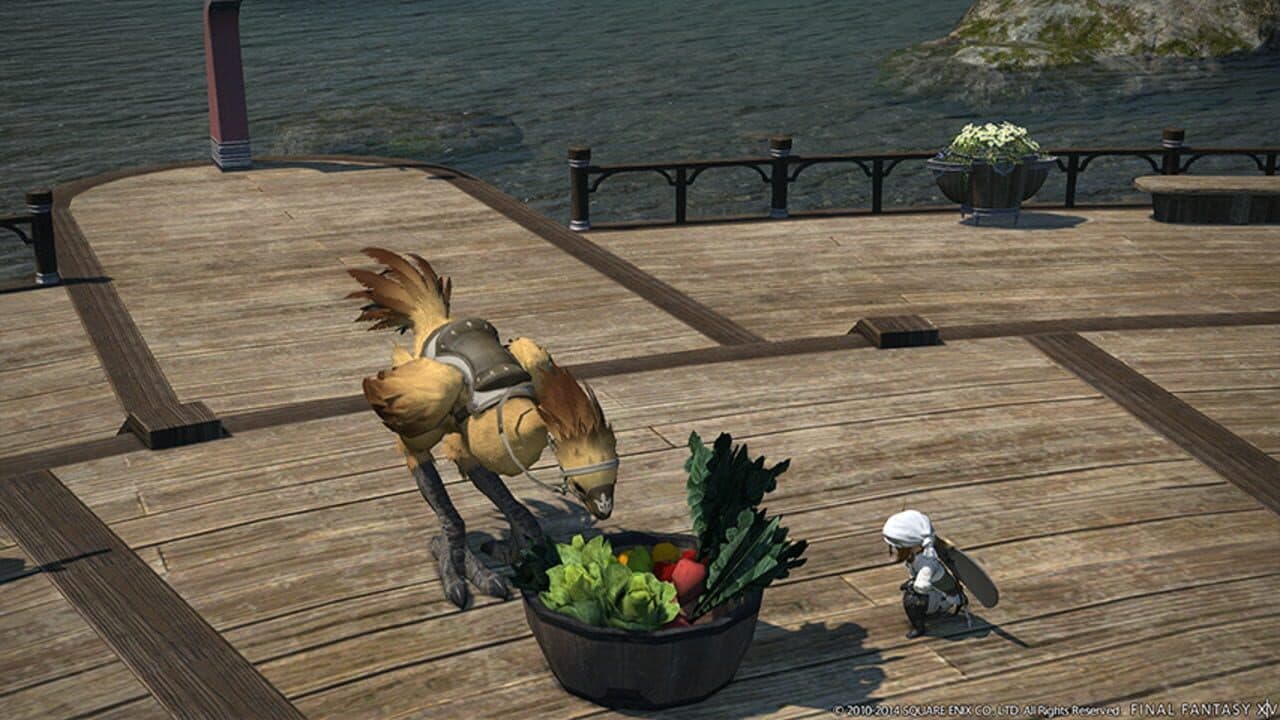Final Fantasy XIV: Defenders of Eorzea thumbnail 9
