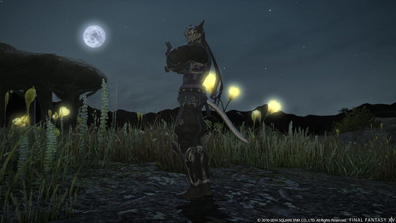 Final Fantasy XIV: Dreams of Ice screenshot 1
